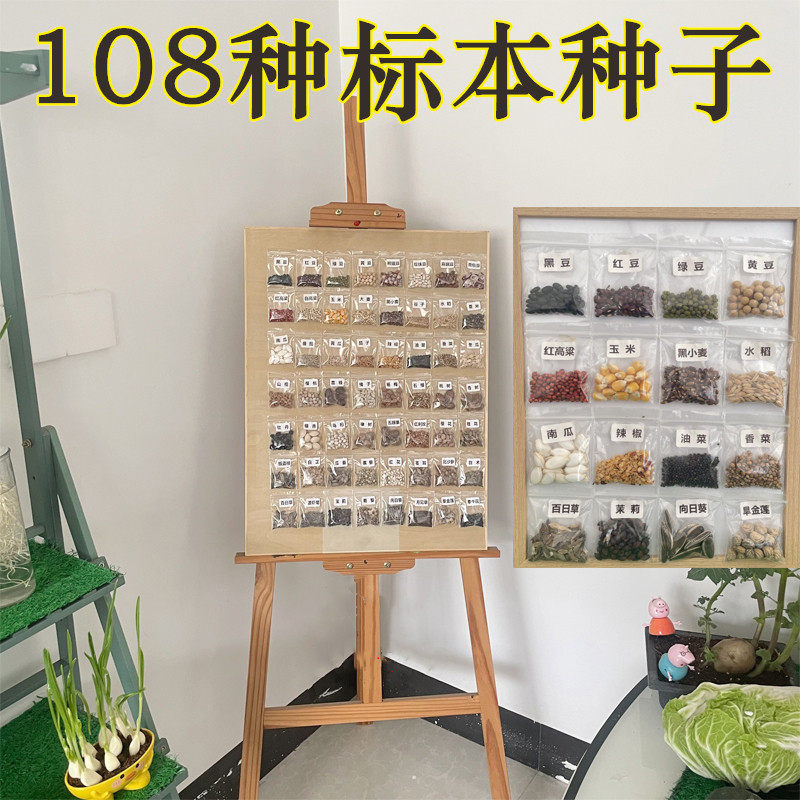 植物种子标本学生认知学习科普知识道具蔬菜水果五谷豆子类幼儿园