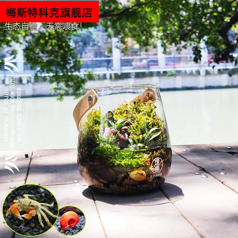 生态瓶辣椒蟹微景观小型客厅鱼缸桌面鱼虾蟹苔藓植物水陆缸螃蟹缸-封面