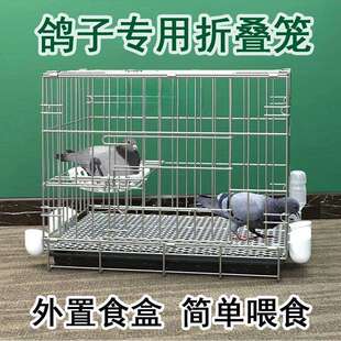 鸽子笼养鸽子专用笼养殖笼家用繁殖笼配对笼大号新型鸽舍鸽子笼子