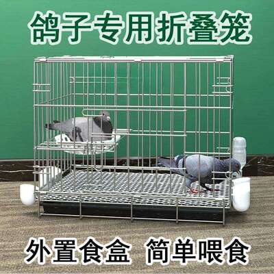 鸽子笼养鸽子专用笼养殖笼家用繁殖笼配对笼大号新型鸽舍鸽子笼子
