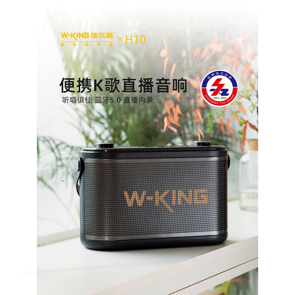 维尔晶H10便携唱歌蓝牙音响家庭K音箱直播内录TV影院萨克斯乐器 影音电器 无线/蓝牙音箱 原图主图