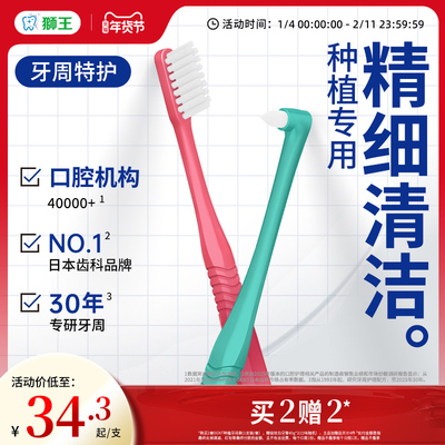 LION狮王DENT种植牙间刷