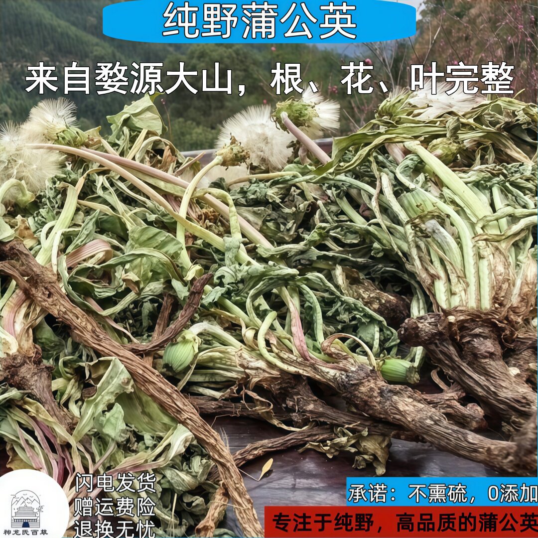 婺源野生蒲公英26年新货，太阳晒干，不熏硫添加
