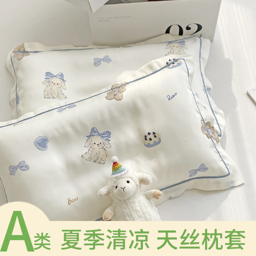 a类天丝儿童枕套冰丝卡通枕头套夏季宝宝30×50枕芯内胆套40×60