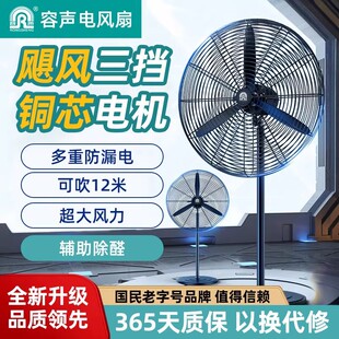 容声电风扇工业落地扇电风扇强力风扇特大风力电风扇摇头牛角扇