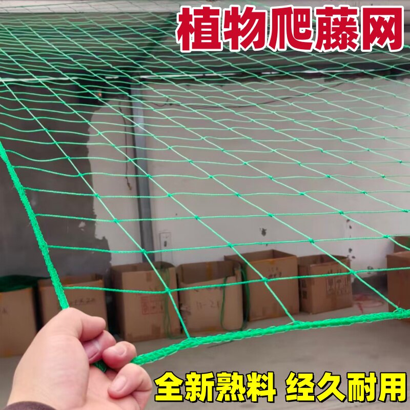 搭架网植物爬藤网丝瓜苦瓜百香果