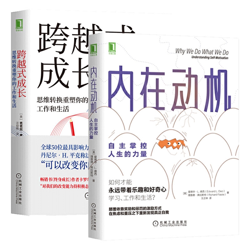 内在动机+跨越式成长 共2册
