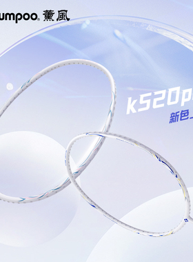 薰风正品羽毛球拍全碳素纤维超轻初学者羽毛球拍套装熏风k520pro