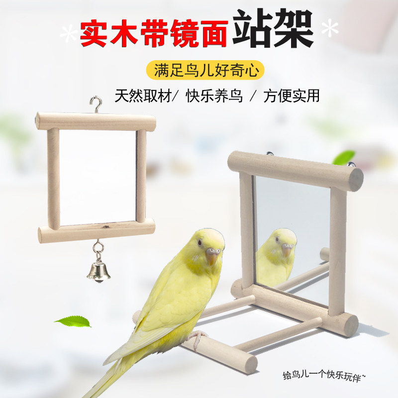 鹦鹉八哥玩具镜子虎皮牡丹益智鹦鹉可挂实木站杠鸟玩具物鸟笼配件