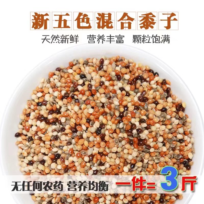 混合玄凤虎皮专用五色谷子鹦鹉