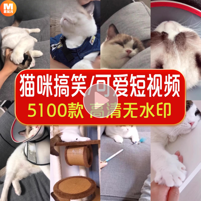 此商品为电子版资料，下单即发百度网盘