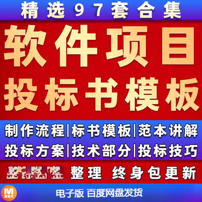 软件开发项目投标书模板范本IT公司文件制作流程信息系统解决方案