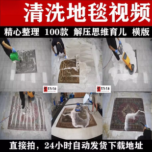 解压国外手艺人清洗地毯毛毯深度清洗励志思维书单短视频剪辑素材