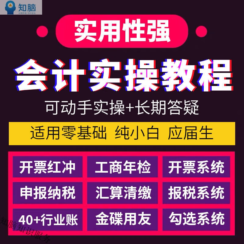 会计实务做账真报税视频教