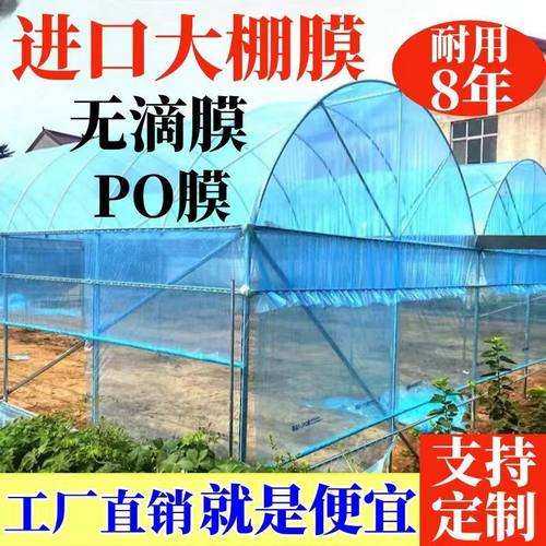 进口抗老化全新料长寿加厚大棚塑料布消雾po大棚膜黑白膜养殖大棚