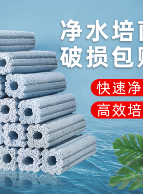 鱼缸过滤材料棉硝化细菌屋水族箱净水活性炭培菌底滤鱼池稳定PH值