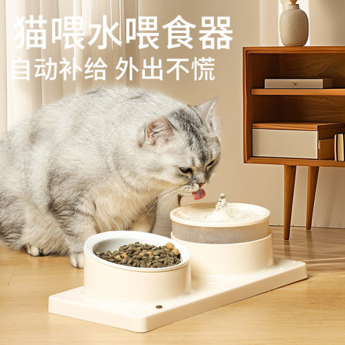 原创新款宠物双碗猫咪自动饮水机斜口猫碗陶瓷水粮一体猫粮碗食具
