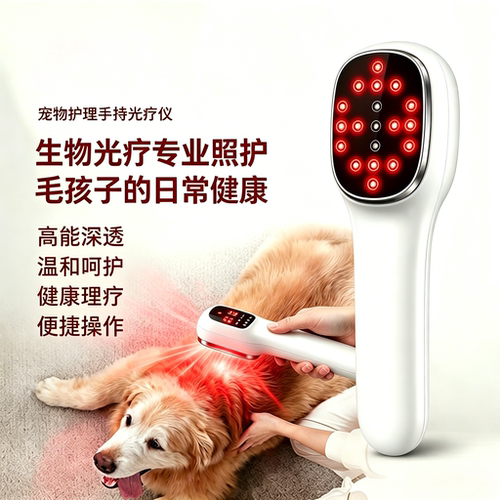 宠物红光理疗康养术后恢复