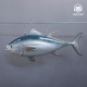 仿真金枪鱼雕塑模型摆件旗鱼大鲨鱼雕塑海洋馆餐厅商业装 饰定做