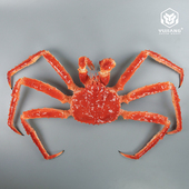 仿真帝王蟹模型假海鲜长腿蟹螃蟹水产皇帝蟹假样品直播道具装 饰