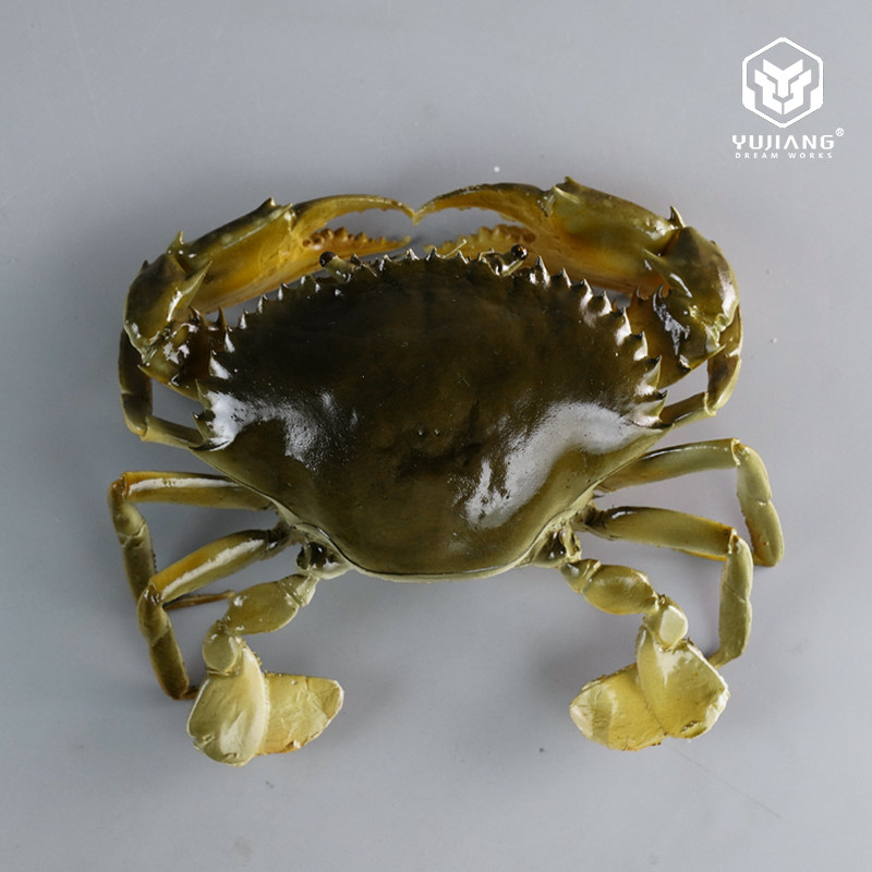 仿真膏蟹模型假大海蟹红膏蟹螃蟹模具大闸蟹水产海鲜假样道具