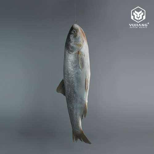 仿真白鲢鱼模型假鱼装饰摆件