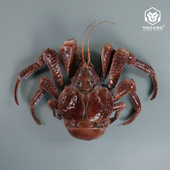 仿真椰子蟹模型陆地蟹王假海鲜水产模具寄居蟹仿真大螃蟹海鱼定制