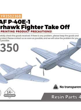 LYR350236B 1/350  美国 P-40E-1 战鹰 战斗机 起飞模式  4pcs