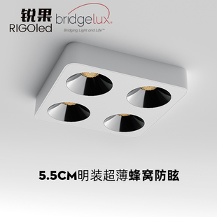 锐果智能三四头明装斗胆灯超薄吸顶式客厅无主灯家用明装射灯防眩