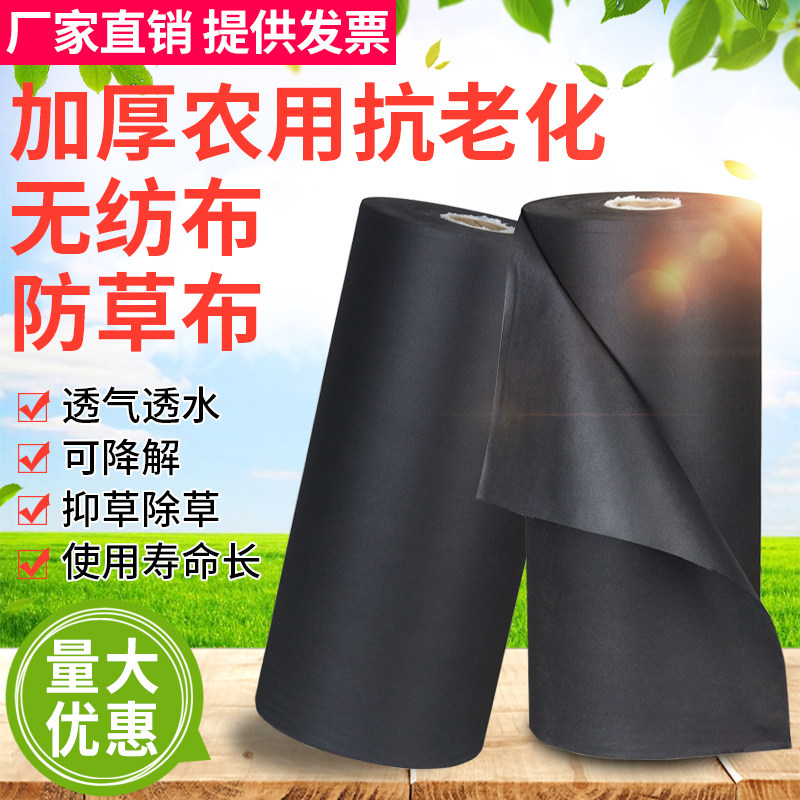 农用黑色生态无纺布防草地布遮盖草果树药材茶叶园新型透气水大棚,鲜花速递/花卉仿真/绿植园艺,其它园艺用品,淘宝优惠券,粉丝福利购,淘宝优惠卷