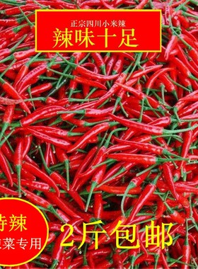 四川小米椒天剑最辣没之一
