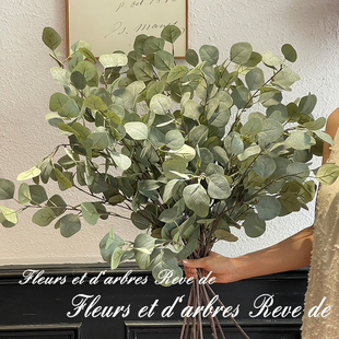 绿色ins风长枝尤加利叶办公室摆设道具塑料插花绿植盆栽绢布树枝