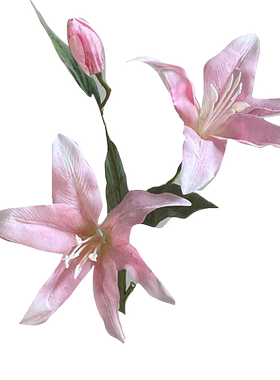奶油风高档百合花束ins风娟花