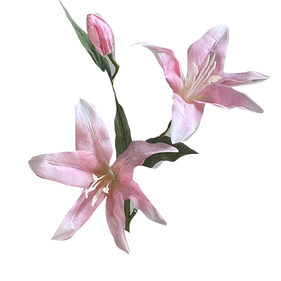 奶油风高档百合花束ins风娟花