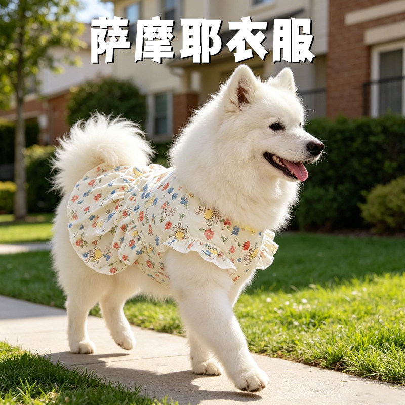 萨摩耶衣服专用春夏牵引薄款透气裙子可爱狗狗外出装扮大型犬服饰