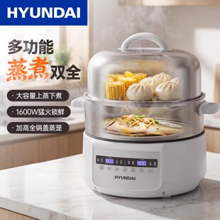 电蒸锅家用2026新款全不锈钢桑拿蒸锅蒸煮一体大容量多层鸳鸯蒸锅