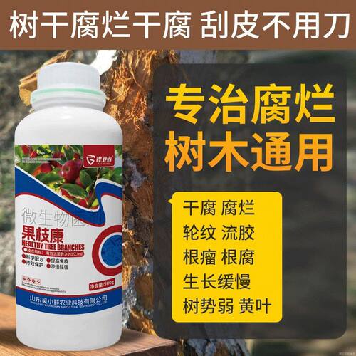正品果枝康轮纹腐烂流胶根腐各种果树枝干症状喷施涂抹碱性液体
