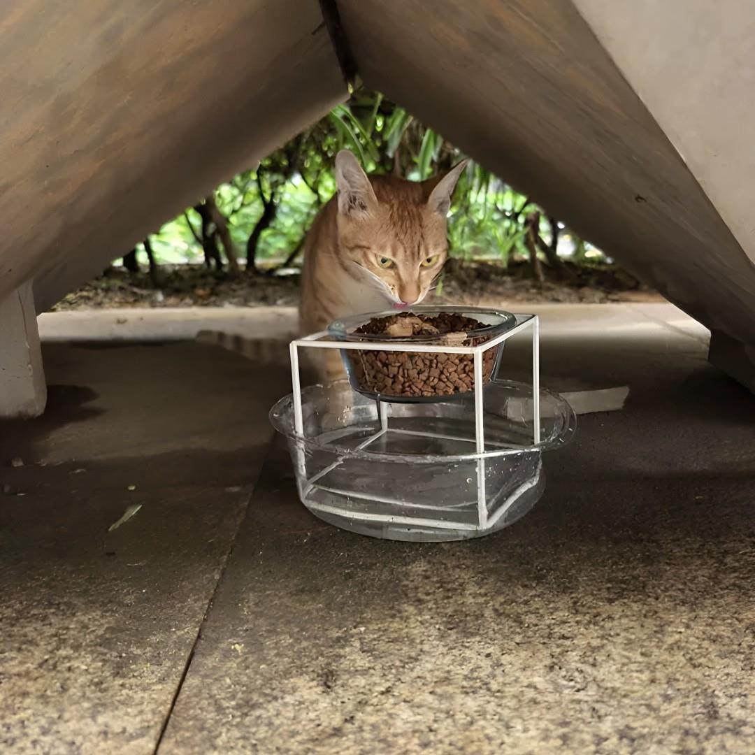 流浪猫喂食碗防蚂蚁防蜗牛保护颈椎猫碗增高架户外动物吃饭玻璃碗