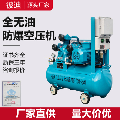 彼迪全无油防爆空压机直流
