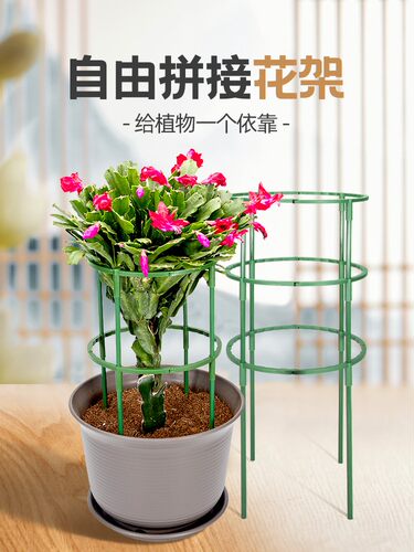 蟹爪兰花架爬藤架专用支架托架杆兰花绿萝月季支撑花盆栽攀爬拼接