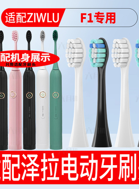 适配日本ziwlu泽拉电动牙刷头F1/Y1通用替换牙刷头软毛