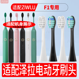 适配日本ziwlu泽拉电动牙刷头F1/Y1通用替换牙刷头软毛