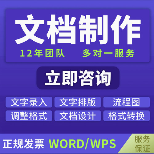 文档文字修改人工代做格式调整文档定制工作文件整理word排版