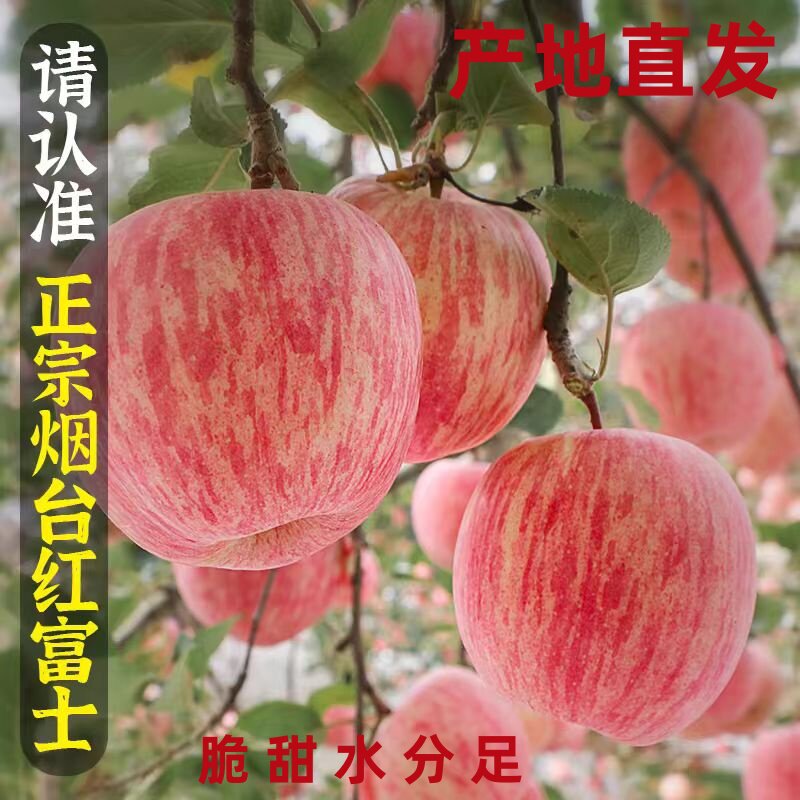 新鲜多汁烟台红富士苹果平萍脆甜