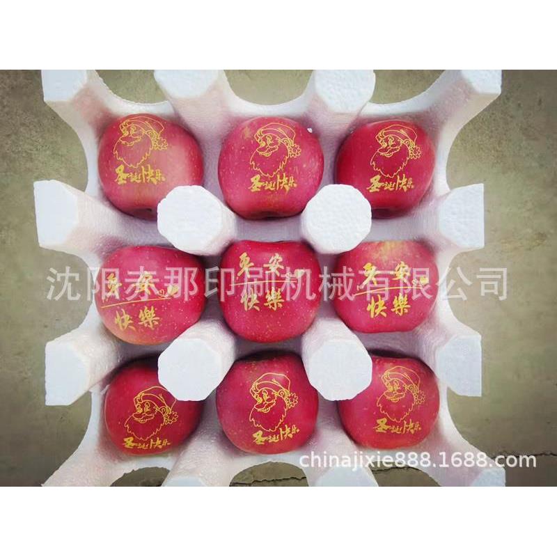 沈阳厂家苹果印字机直销现货 水果上创意图案模板制作 可食用油墨