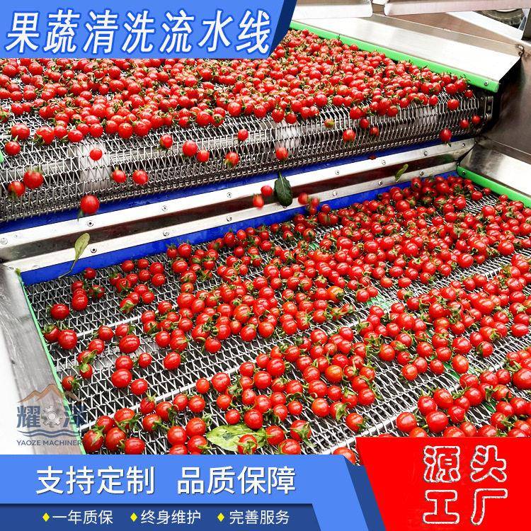 材八米气泡清洗机净菜加工生产线全自动洗小龙虾机器洗菜设备