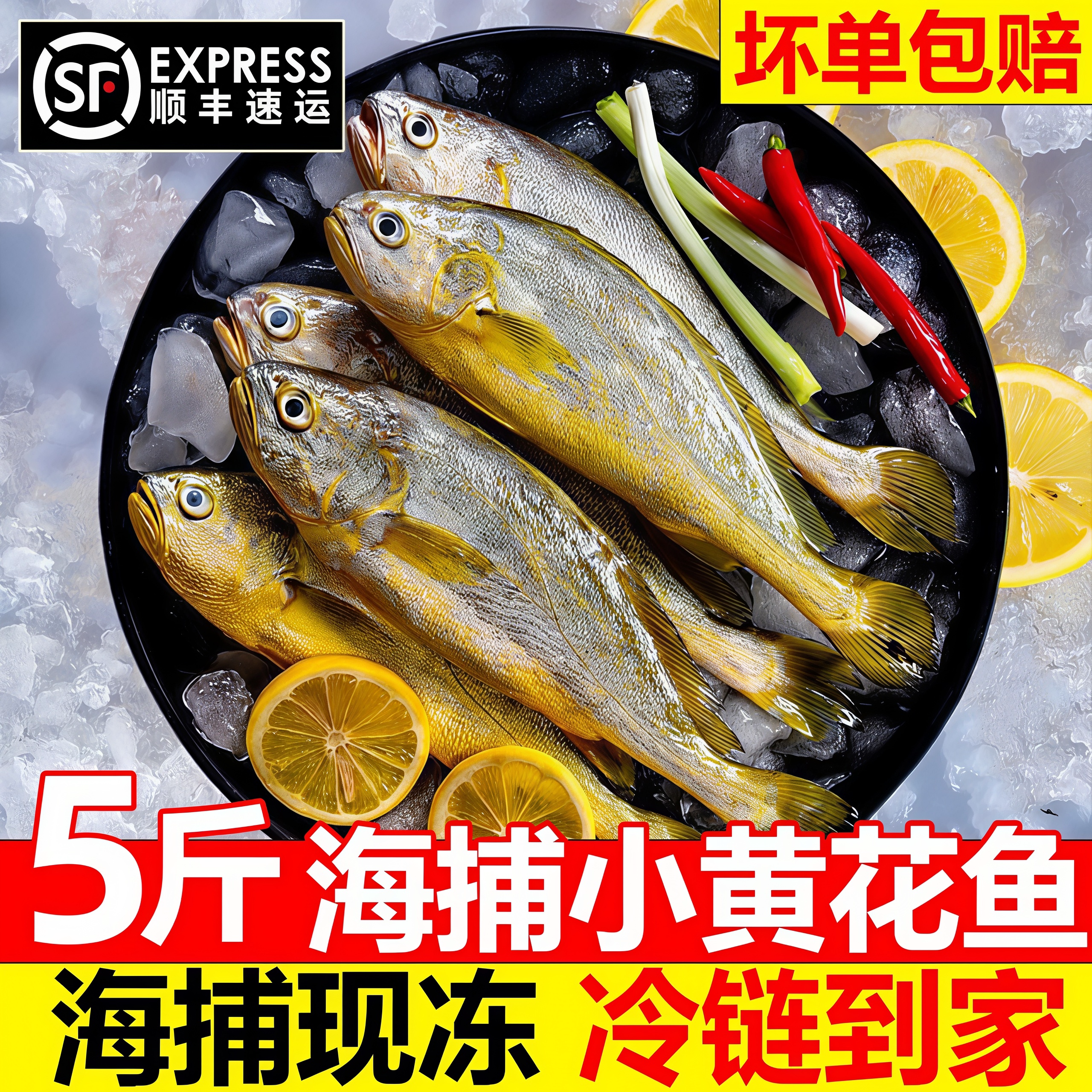 小黄花鱼鲜活冷冻小黄鱼批发顺丰
