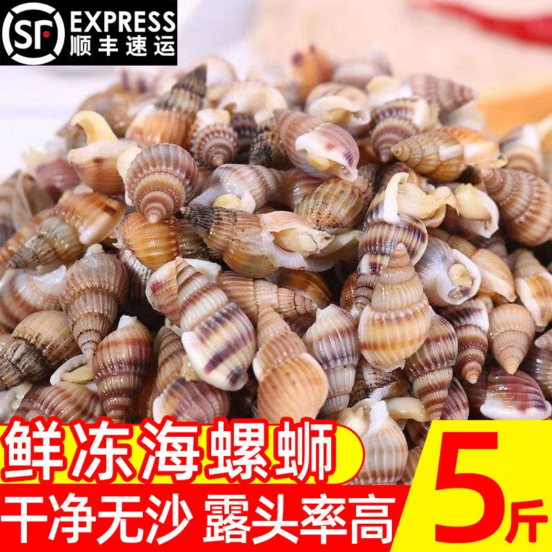 青岛当季冷冻海螺蛳海瓜子4斤