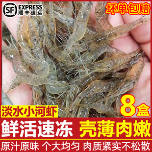 小河虾鲜活速冻小白虾青虾新鲜冷冻明虾当天现捕小草虾非海鲜水产