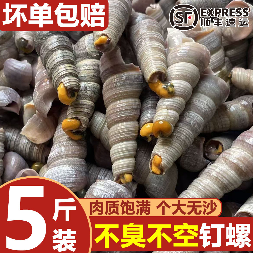 钉螺鲜活冷冻去尾新鲜海螺大号锥螺丝捞汁小海鲜商用顺丰包邮